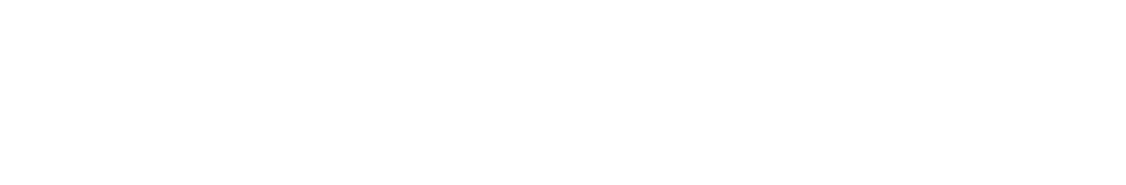 Main logo northern light